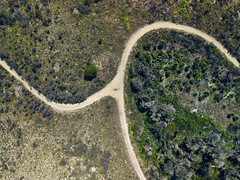 The Crooked Way