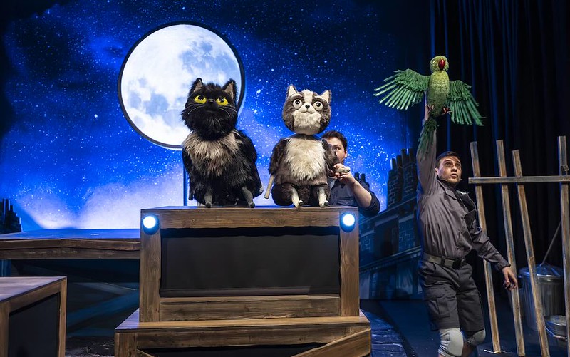 Toto the Ninja CatKings Theatre
October 2026
Review