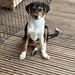 48320_BECKY