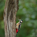 _35A7549_DxO