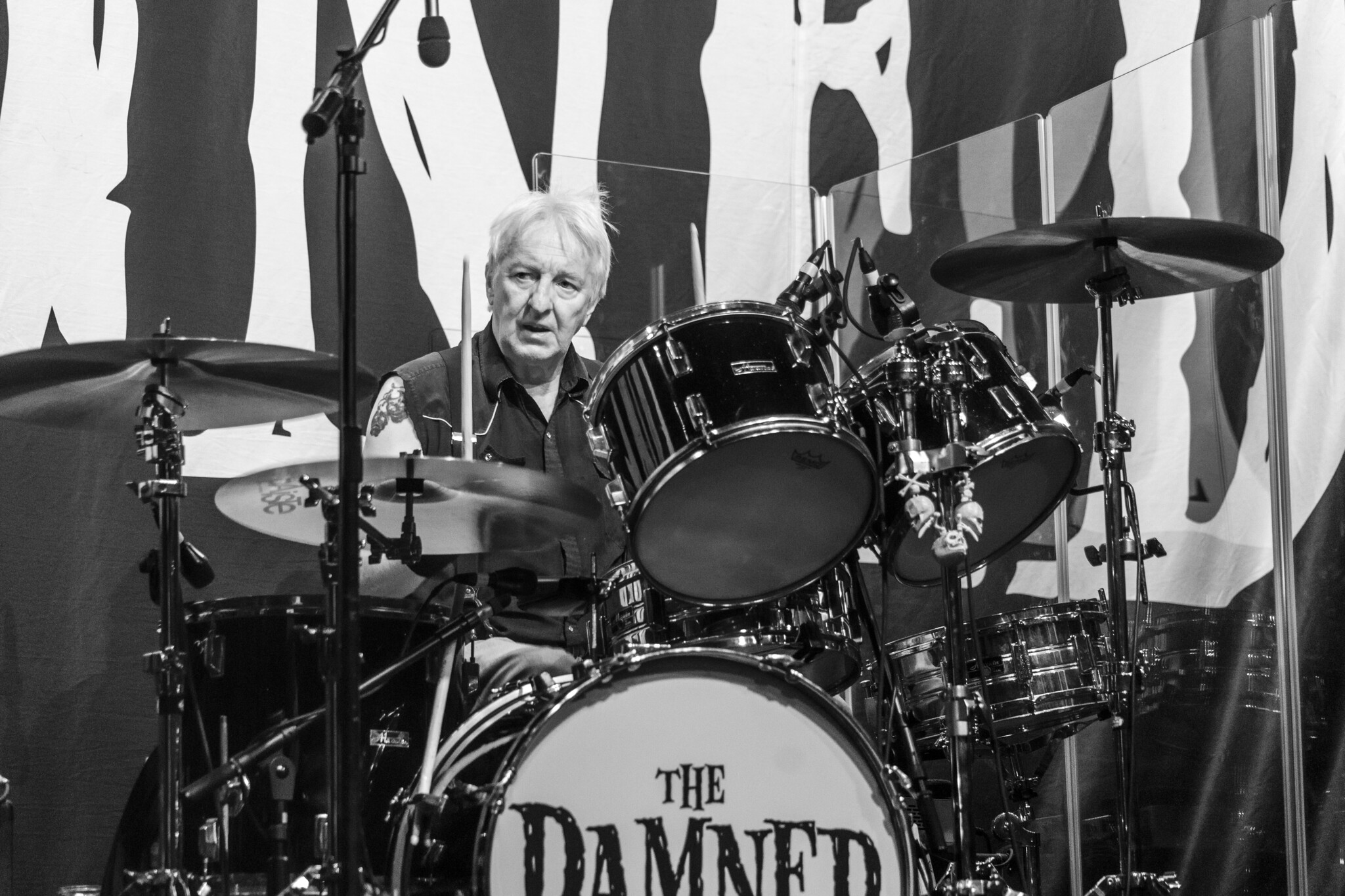 TheDamned11