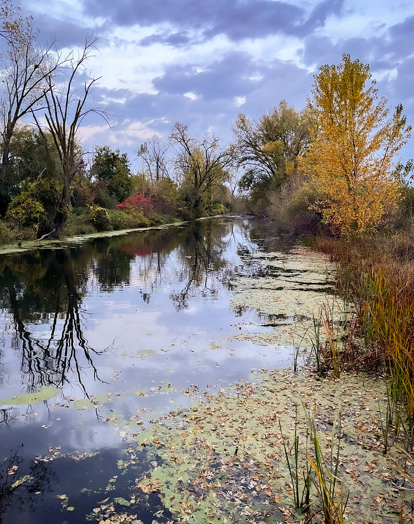 A photograph taken in Minnesota on Oct 25, 2026.