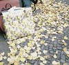 Camouflage
