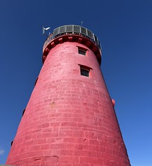 IMG_E4202