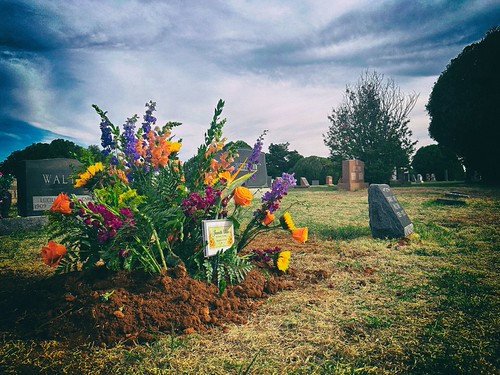 Jeanette Grave analog efex pro 2 October 2026