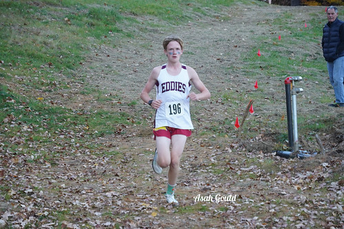 LSV04694 Asah Gould