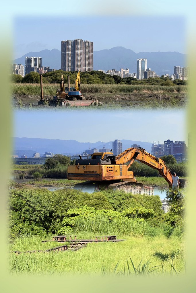 華江雁鴨自然公園