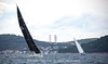 PC6B6292 - 2026 - Zadarska Koka