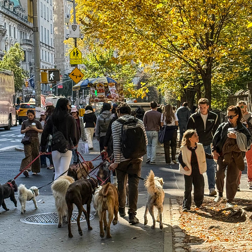 nyc-day04-9