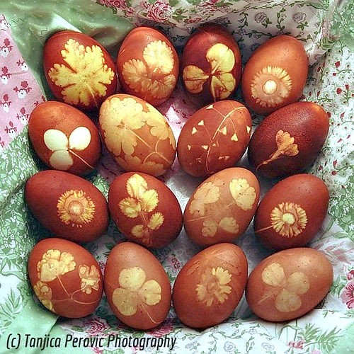 Easter eggs. Tanjica Perovic Photography.