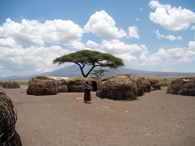 Manyattas Chozas, persona y arbol en aldea Poblado Masai Tanzania 02