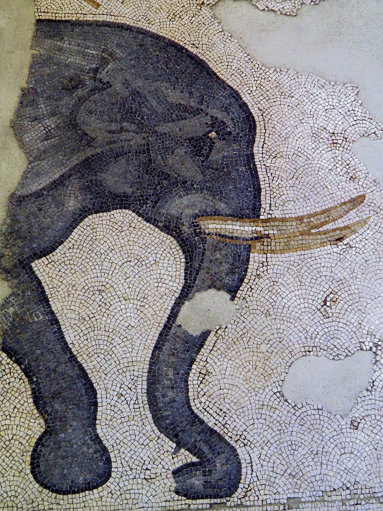 Elephant, Detail of the 6th century mosaic floor from the Palatium Magnum (Constantinople's Great Palace), Palace Mosaic Museum, Istanbul