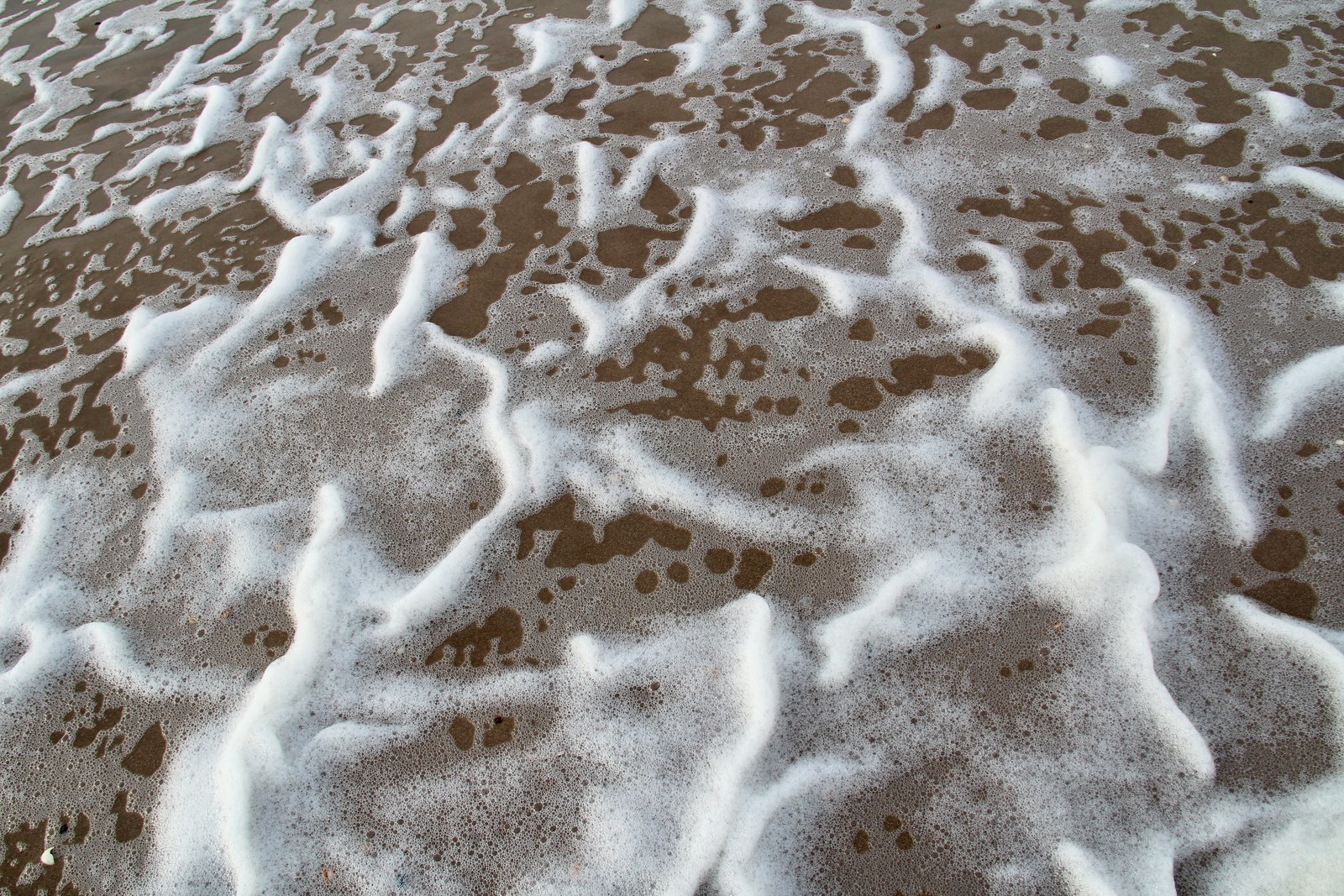Foamy patterns