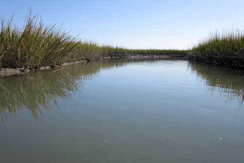 Eastern Shore of Virginia National Wildlife Refuge | by chesbayprogram