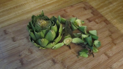 Cooking an artichoke: Trimming the leaves.