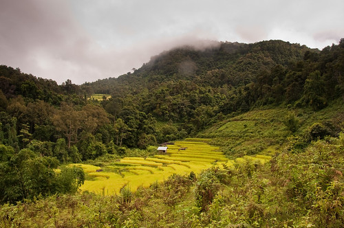 geotagged thailand nikon d90 mountains landscape rice paddies