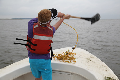 Monitoring underwater grasses in Talbot County, Md. | by chesbayprogram