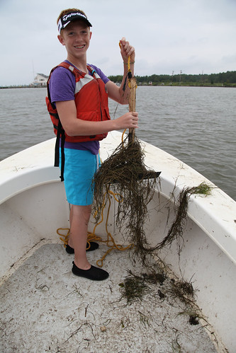 Monitoring underwater grasses in Talbot County, Md. | by chesbayprogram