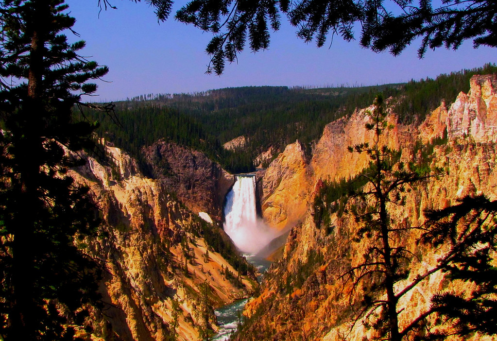 Yellowstone National Park | Walking the rim of the canyon in… | Flickr