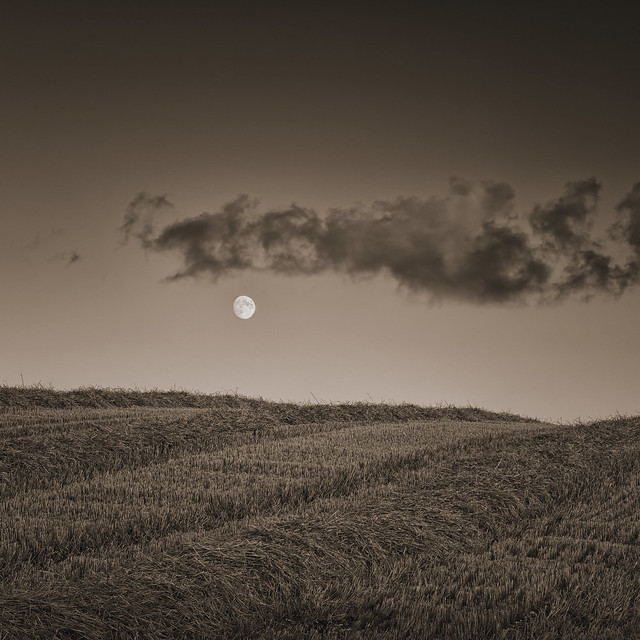Moonrise on the Wolds