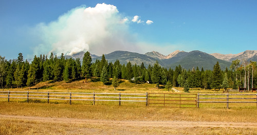 road trees mountain mountains tree forest fire highway scenery montana scenic route forestfire fires 83 wildfire wildfires route83 august122012 montanaroute83
