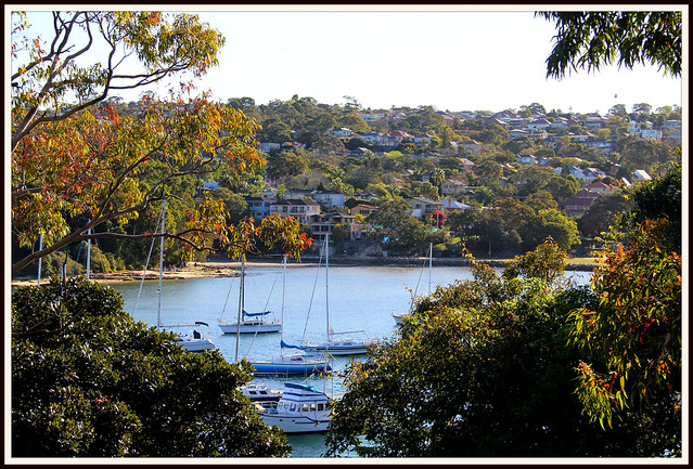View looking west to Balgowlah Heights
