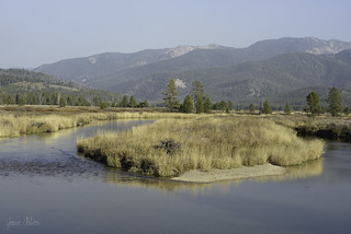 Bear Valley Creek isle