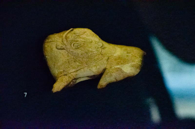 Bison carving