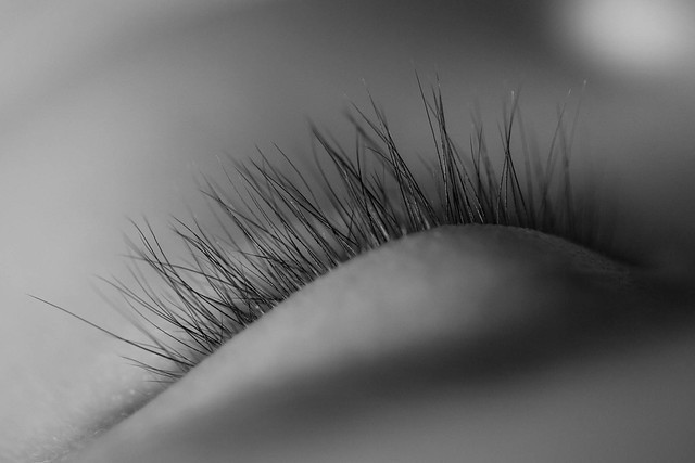 20120815_182816_Canon_EOS_5D_Mark_II_6449