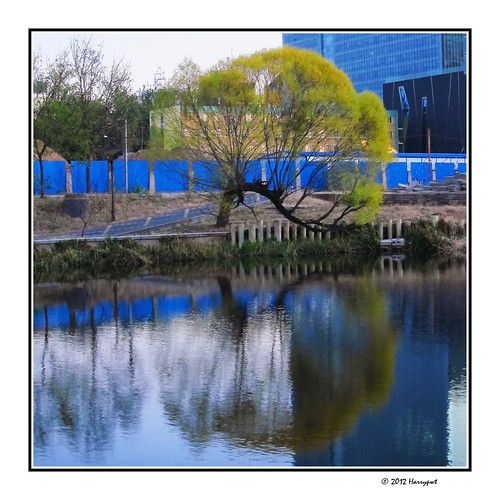 harrypwt beijing china city canons95 s95 trees reflection 11 borders framed