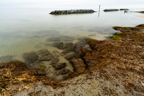 Tangier Island in Accomack County, Va. | by chesbayprogram