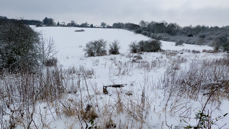 Barley Field under snow