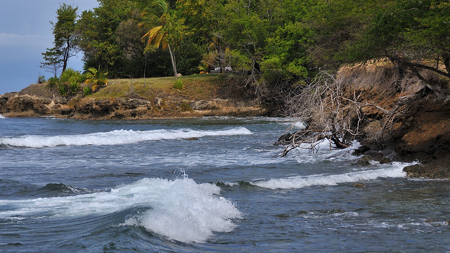 St. Lucia Shoreline
