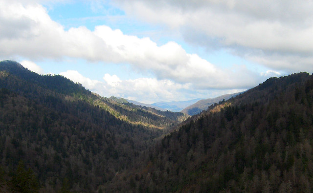 Spring in the Smokies - Great Smoky Mountains National Park