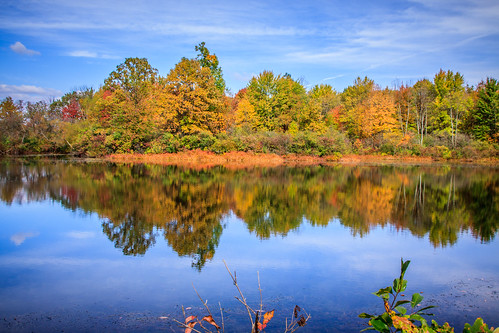 ohio usa pond fallcolors parks aurora wetland tinkerscreekstatenaturepreserve