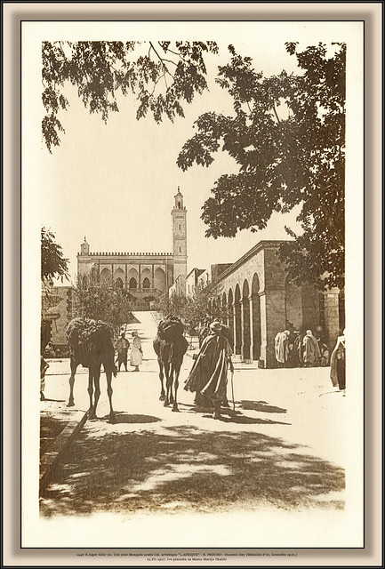 1440 R Alger Alžir 50. Une jelie Mosquée arabe Col. artistique 