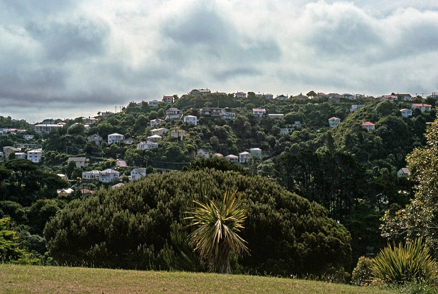 Little boxes on the hillside