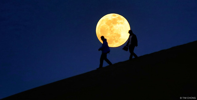 Tourists and the Moon