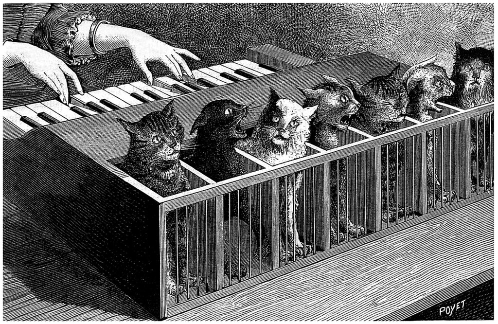 Piano à chats - Katzenklavier