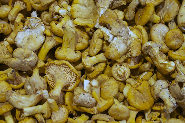 'shrooms from the market