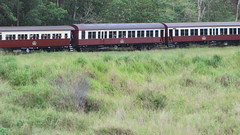 Kuranda Scenic Railway, Queensland (483995)