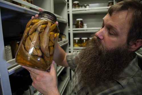 Nunnally Ichthyology Collection in Gloucester County, Va. | by chesbayprogram