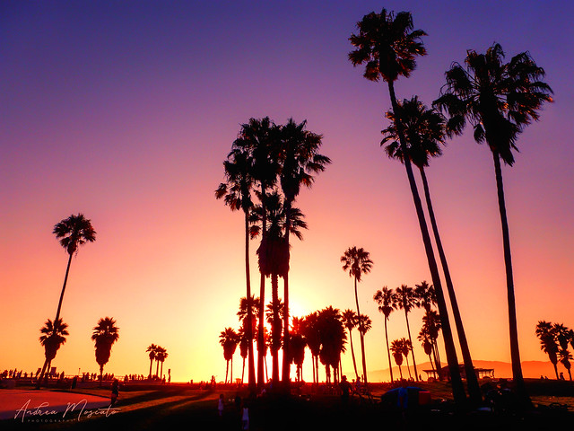 Venice Sunset - Los Angeles, California
