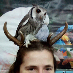 Flickr profile picture for @confluence