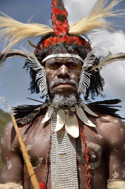 Dani warrior with traditional plumed headress, Baliem valley, Papua