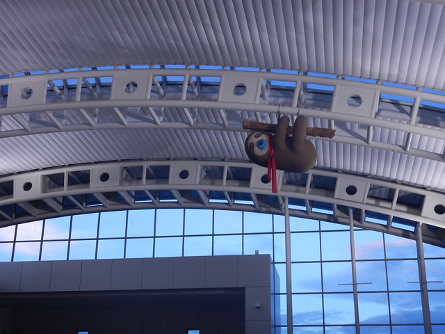 Sloth on the roof of Juan Santamaria Airport