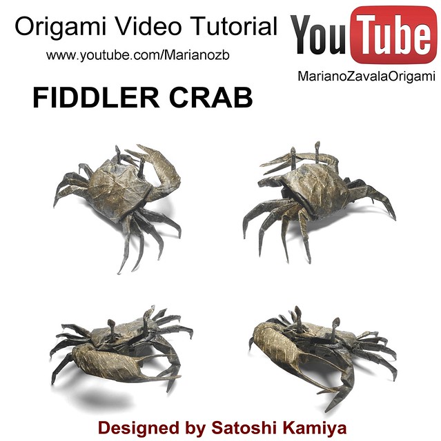 Fiddler Crab - Satoshi Kamiya