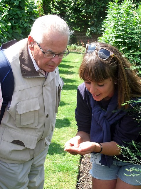 “Kew on a Plate Kitchen Garden” Guided Tour by Eleonora Giuliodori @ 25 July 2015 (2/2)