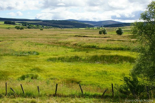 uk green fence landscape scotland glen oru tomintoul cairngorms 2015