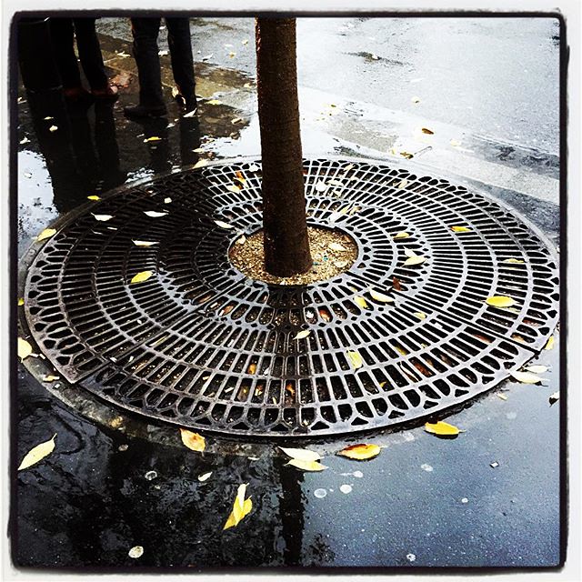 #Paris in d #rain #weather #street #eavig